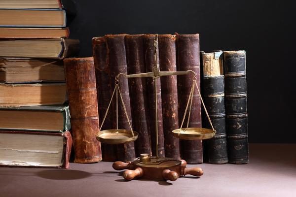 西藏严酷刑法案例分析：探究西藏地区刑法执行的现状与挑战 图1