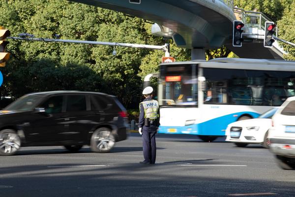 交警交通事故处理指南与案例解析 图1