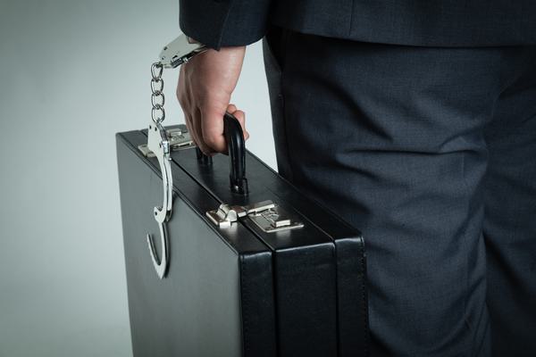 《刑法案例分析报告：探究判处刑法对犯罪行为的影响与启示》 图2