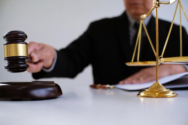 园艺插件侵权责任案例解析