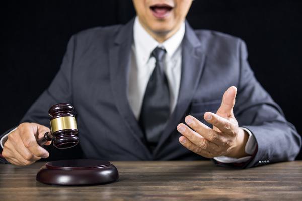 公司法解释四适用案例解析 图2
